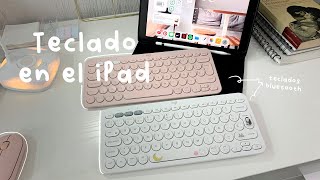 ¿Cómo utilizar un teclado con el iPad? | atajos, mi teclado, y más ⌨