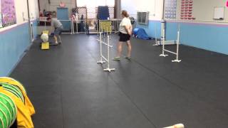 Nova Intermediate Agility 1 - Week 3