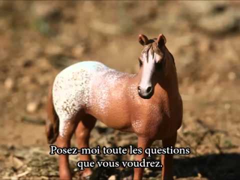schleich FAQ (OUVERT)