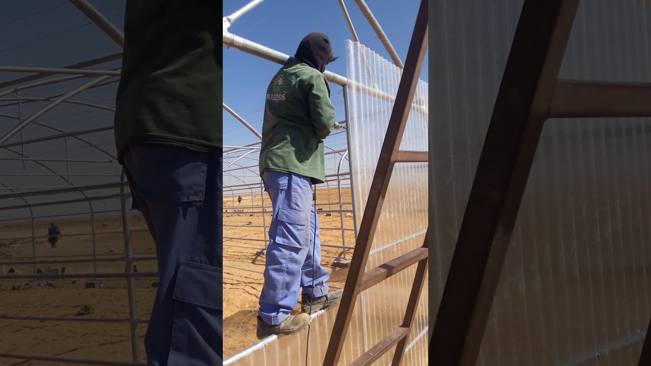 تركيب بيوت محميه مزرعة ثما  تيماء الزراعيه