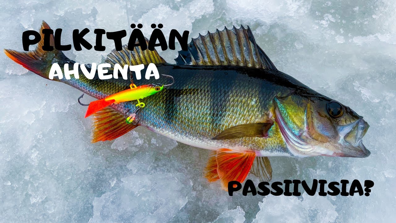 MISSÄ ON AHVENET? PASSIIVISIA?