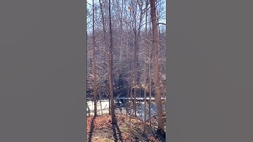 A walk-through the #Delphi crime scene.