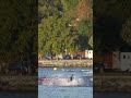 A Flying Foivos