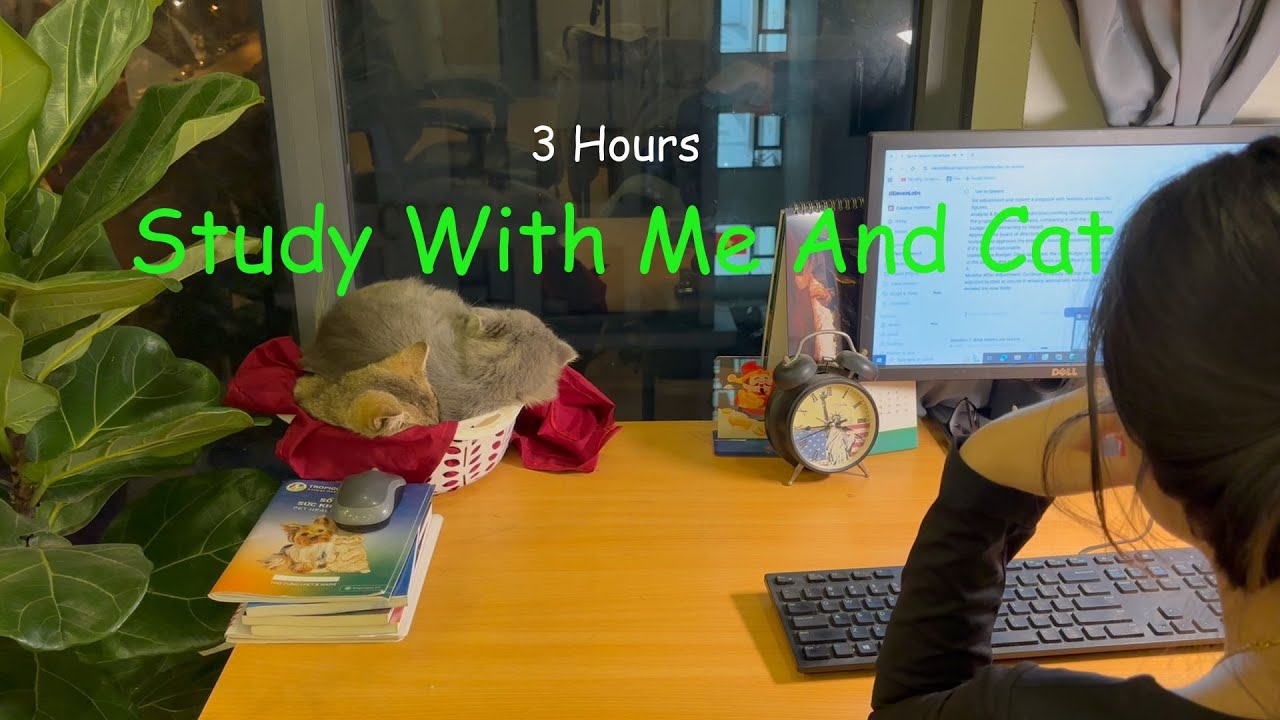 [3-GIỜ HỌC CÙNG MÌNH XUYÊN ĐÊM] 3-HOUR STUDY WITH ME/calm piano/HaNoi at night/lofi music