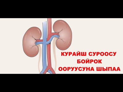 Video: Сүрөөгө кайсы октун катышы эң жакшы?