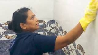 Special Cleaning Services