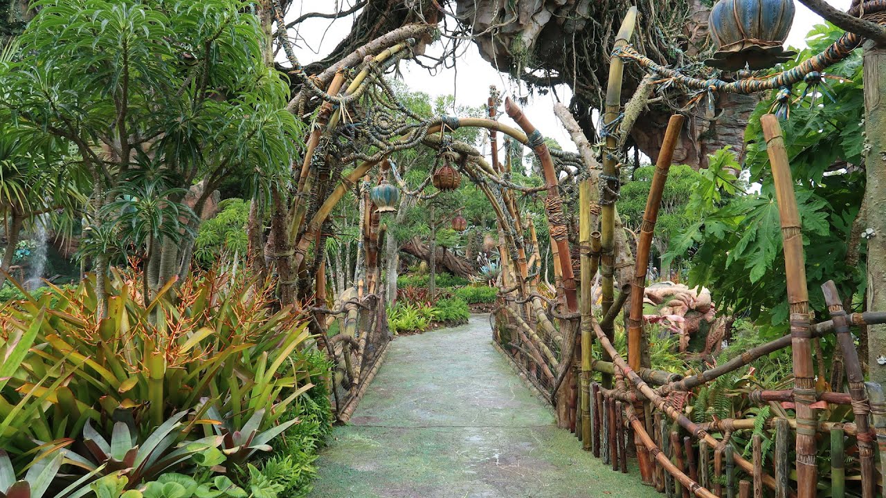A Rainy Return To Animal Kingdom For Rides And Cheeseburger Pods! - YouTube