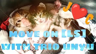 Download lagu Move on (LS) with trio unyu