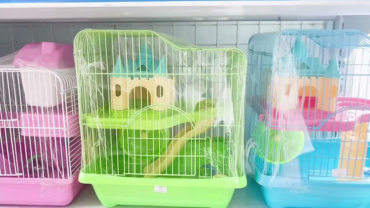 cua hang chuot hamster 2022 Update Tất tần tật các loại lồng nuôi chuột Hamster có tại LoHa Pet Shop