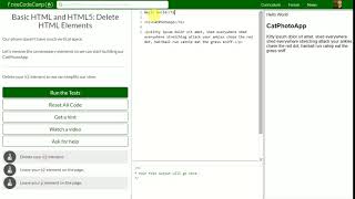 [7] Delete HTML Elements Wealth