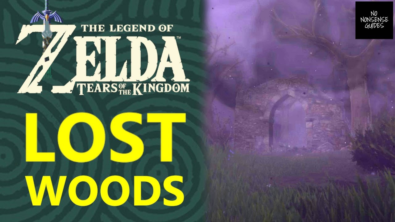 Tears Of The Kingdom'S Lost Woods Solution Is A Zelda Game First