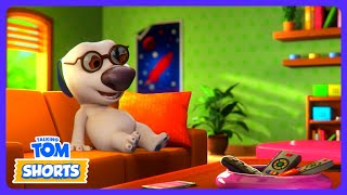 Talking Tom - Os Novos Óculos do Hank! 👓 | Desenhos Infantis | WildBrain Circo - Português