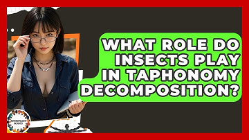 What Role Do Insects Play In Taphonomy Decomposition? - Anthropology Insights