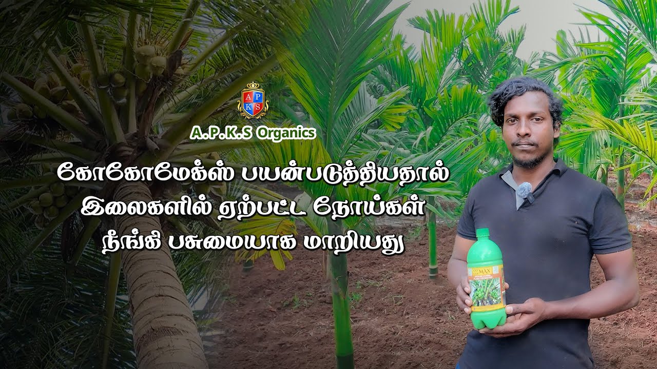 [ TAMIL  ] Mixed Crop Farmer Mr. Santhosh Kumar from Salem Shares His Results!