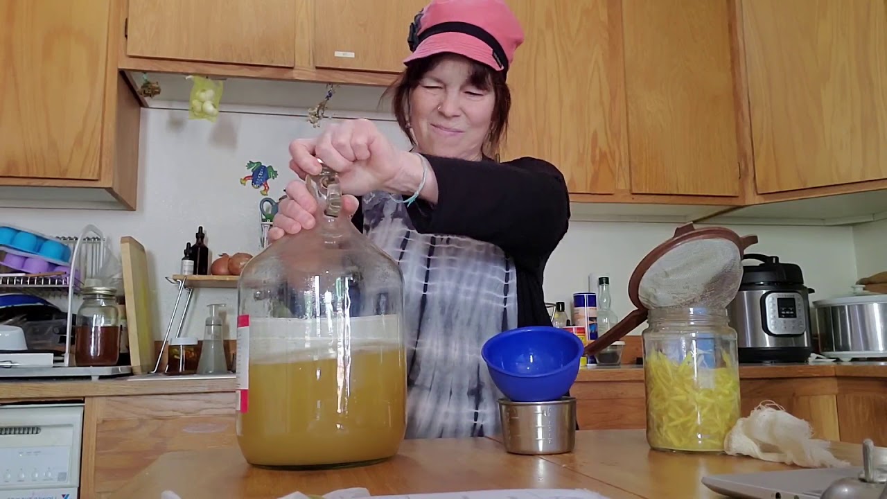 Fermented Lemonade and ginger bug update