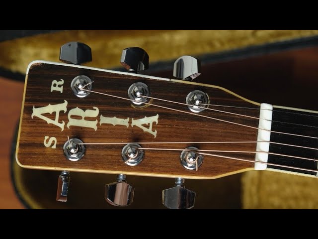 Aria W-30D japan 1970s โลโก้แนวตั้ง ดอทอินเลย์หกเหลี่ยม : รีวิว