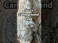 RV Campground Nature Find | Fuzzy Teak Fungus at the Campsite ❄️🚐 | Hidden in Nature