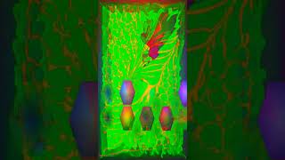 Flexi preset rapid fire