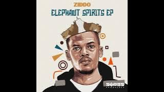 ZIDDO - Xapa's Note || Afro House Source | #afrohouse