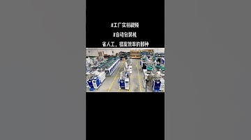 Factory video of automatic hardware sorting feeding bowl bag packing machine