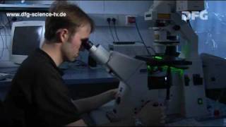 DFG Science TV: Search for a Cure - Trailer