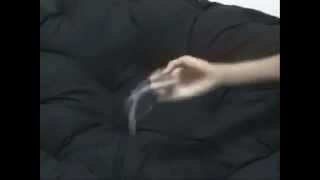 [TWPS] Darcy penspinning solo video 2007