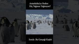 Antarktika Gerçekten Bir Çöl Mü?