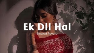 Ek Dil Hai - [Slowed Reverb] Ek Rishtaa | Akshay Kumar, Karisma Kapoor | Hindi Romantic Song