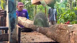 Teak wood sawing process in Ploso village - assembled serkel machine