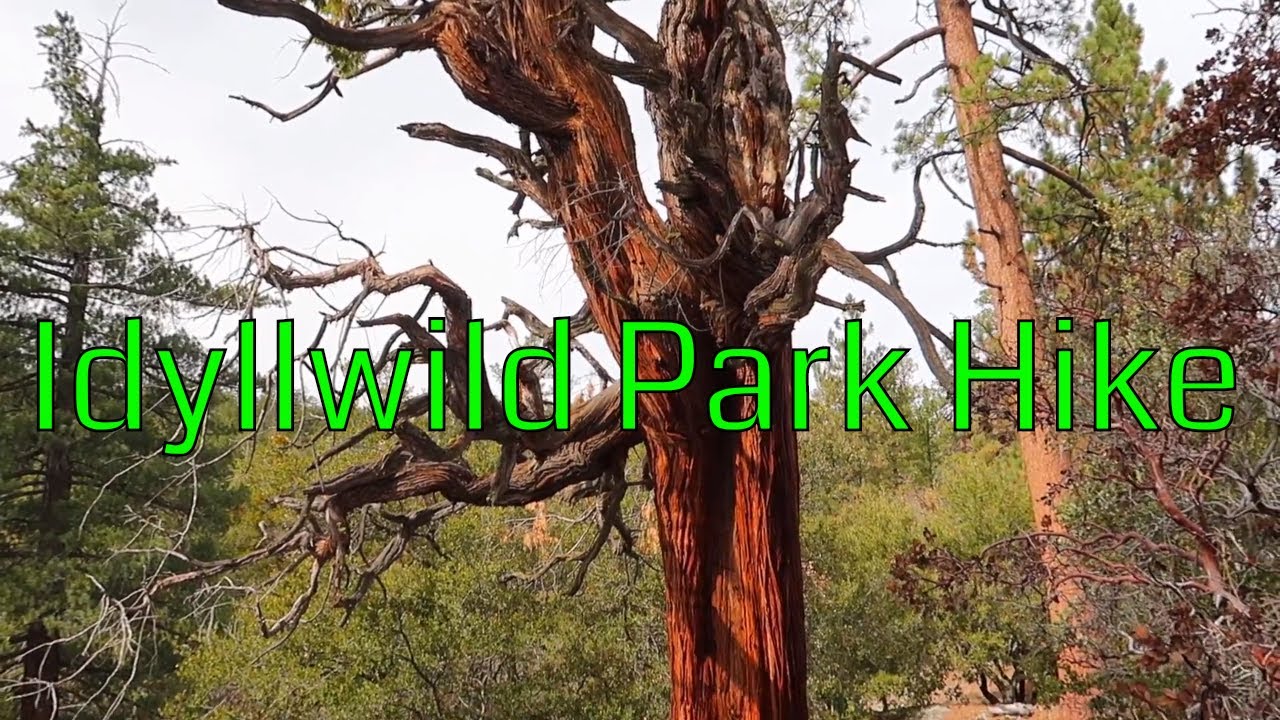 Adventure Outdoors - West Coast Hiking Trails - Idyllwild Park Hike - YouTube
