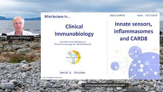 Inflammasomes and CARD8: Sensing Pathogen Activity in Innate Immunity