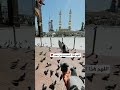 تلاوة رائعة من أجمل تلاوات الشيخ أحمد بن طالب