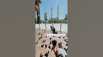 تلاوة رائعة من أجمل تلاوات الشيخ أحمد بن طالب