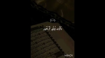تلاوه هادئه تمس القلب 🥹🎧#اسلام_صبحي #قرآن_كريم #اكسبلور #ماوراءيات #duet #لايك #راحة_نفسية