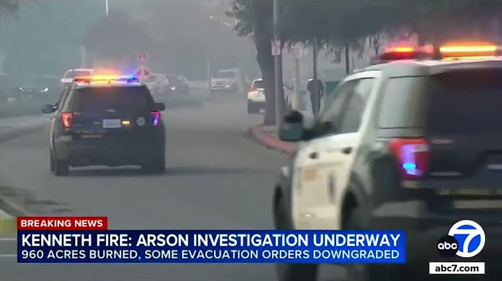 🔥LA Fires; What the Media Won’t show you About LA’s Wildfires (by effspot)
