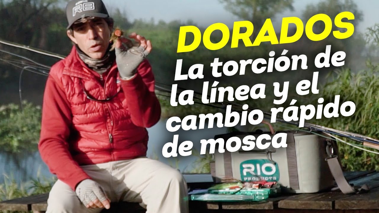 Pesca con mosca de dorados: el uso del micro esmerillón y cambia