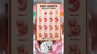 Baby growth week by week in pregnancy #medical #ultrasound #baby #fetalmovement