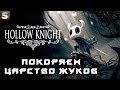 Hollow Knight - Первое прохождение #15