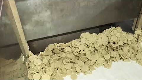 soft biscuit rotary moulder