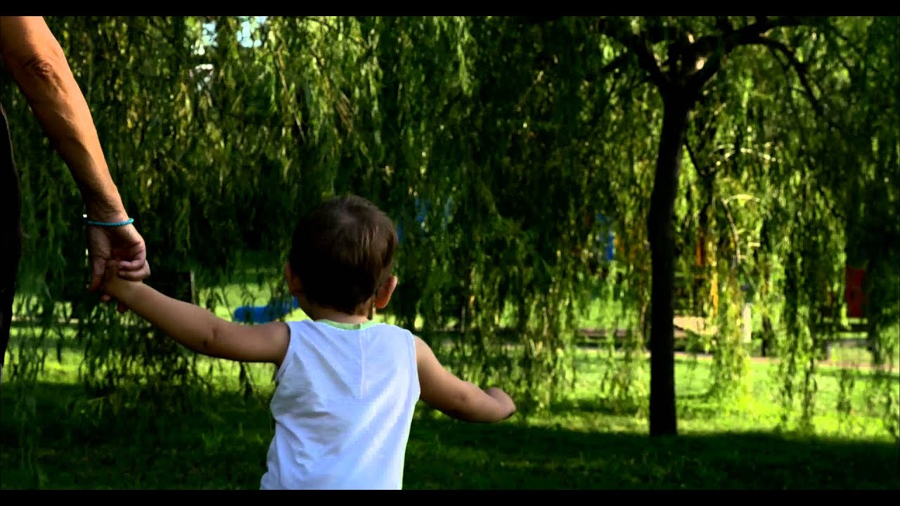 SturdyFlight Gimbal 70mm Gh4 - AlexMos vs Ronin