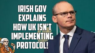 Ireland Explains How UK Gov. Is Not Implementing NI Protocol!