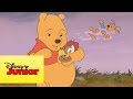 As pequenas aventuras de winnie the pooh  guru vai nadar