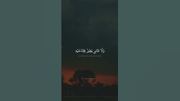وَمَا مِنْ دَابَّةٍ فِي الْأَرْضِ وَلَا طَائِرٍ يَطِيرُ |  محمد صديق المنشاوي | سورة الإنعام