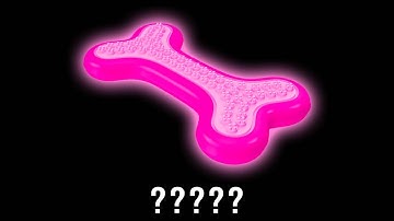 15 Dog Toy "Squeaking" Sound Variations in 35 Seconds | MODIFY EVERYTHING