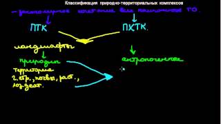 189  Классификация природно территориальных комплексов