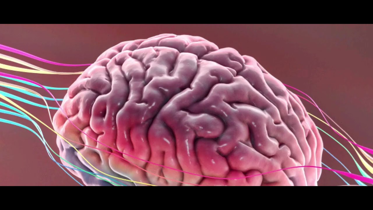 Transhumano Futuro #Transhumano: ¿Estamos Listos? - YouTube