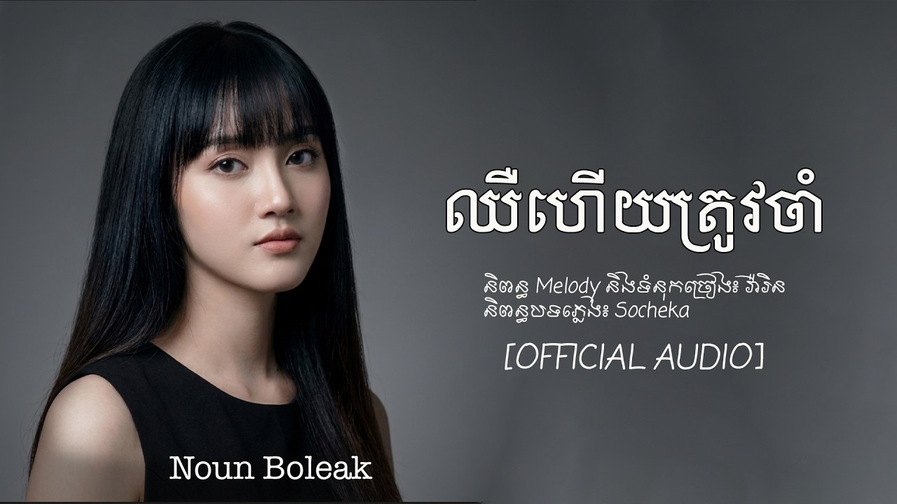 ឈឺហើយត្រូវចាំ | នួន បូលក្ខណ៍ | Noun Boleak [ Official Audio ]