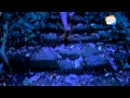 Pulimaranja Thondachan PROMO