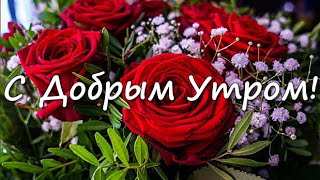 С Добрым Утром! Классное Пожелание Доброго Утра! Желаю Успешного Дня, Отличного Настроения