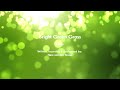 Nino - Bright Green Grass